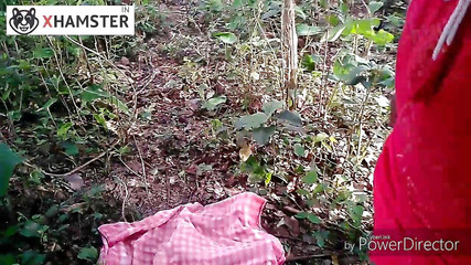 my house: Nomita Bengal