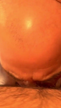 Bear Food Part 1