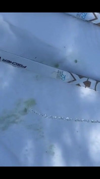 Pissing During a Nordic Ski Session