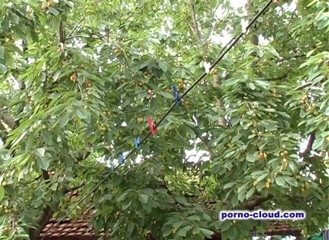 Porno Cloud: Pizdă păroasă de grădină