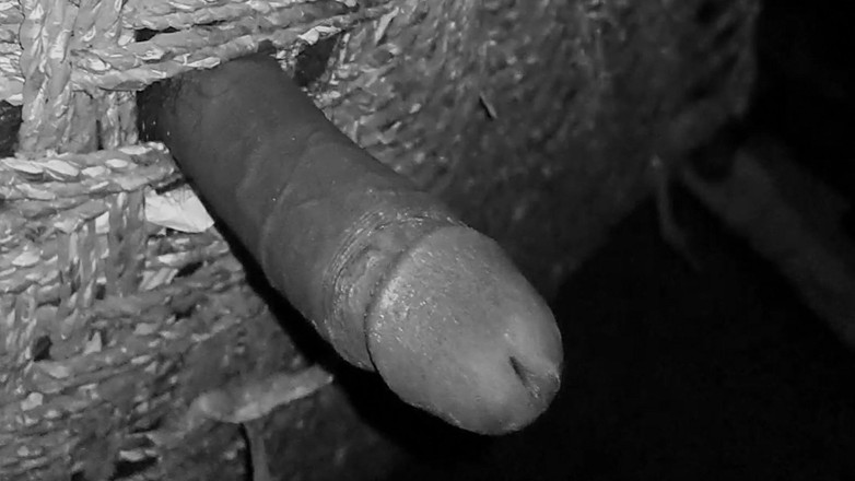 Desi_Porn_India: Hot Indian Desi Boy Masturbating in the Night.