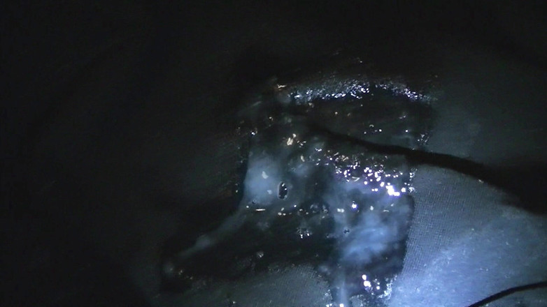 Mark Hannes: Zwarte badpak bult masturbatie