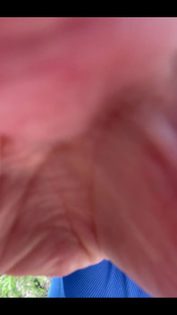 She Lifted Her Dress and Sat Down on the Fallen Leaves