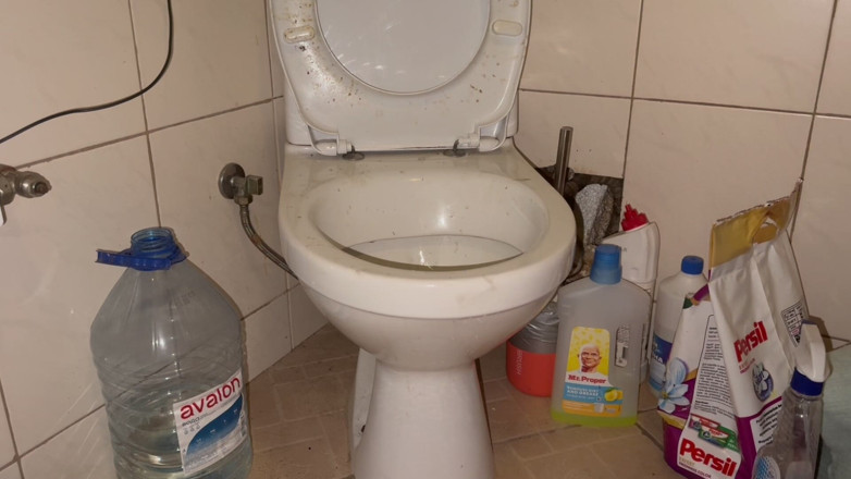 Elena917: Licking Dirty Floor and Toilet, Flashing Head in It