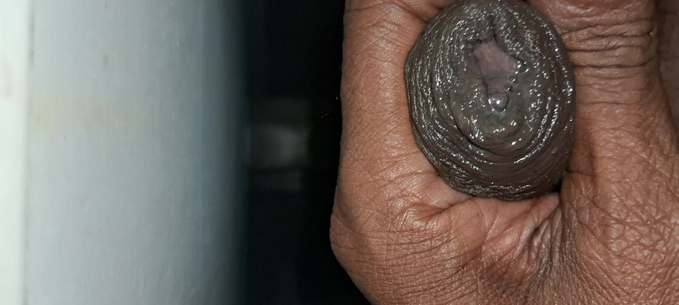 Maddymissile: мой пенис