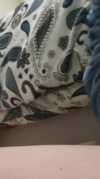 My Pussy