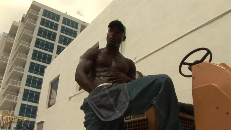 CocoDorm: アレックス・フレックス2