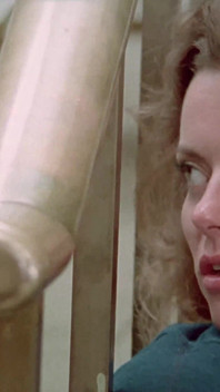 A Tribute to Annette Haven
