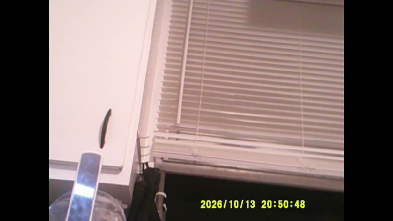 COBRA CRAIG: 10-13-26 Tuesday the Whole Cobra Day 5 Plus Hrs