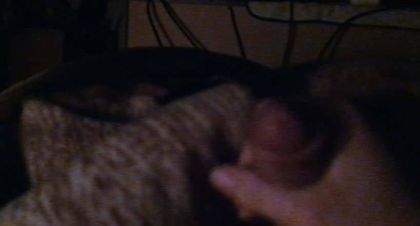 Horny Boy 18 year: Teen Cums