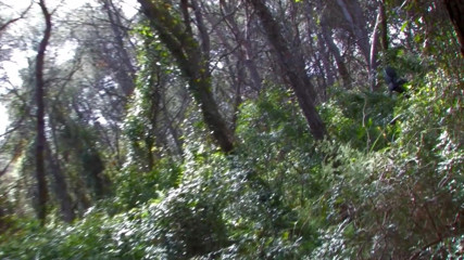 Time To Jerk Off: Big booty brunette slut fucked rough in the woods