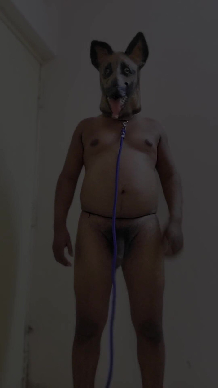 Indiansissychubby: 私の新しいペット