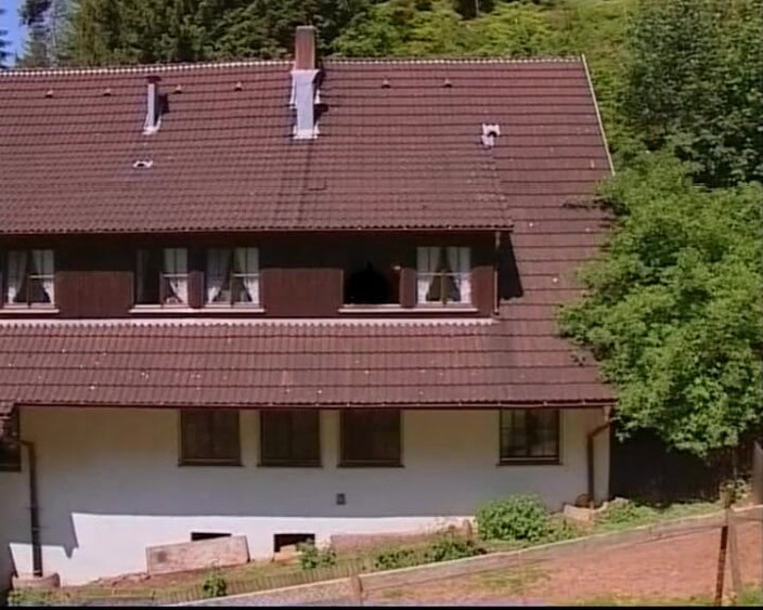 GERMAN PORN CLASSICS: Pensiun Almrausch Bagian 1