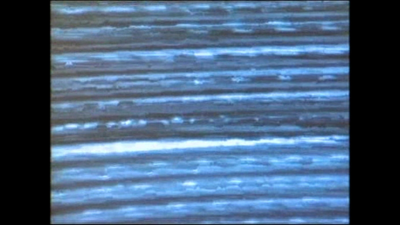 The Power of Love: Islak sürtük derin anal seks yaparken inliyor