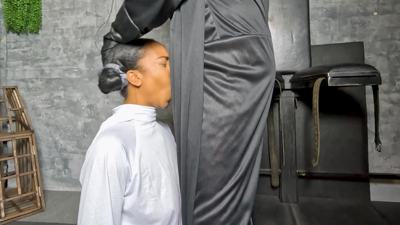 Bearded Buddha: Darth Vader fode a cara da princesa Leia - Star Wars