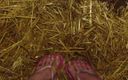 Barefoot Stables: Pies establos meando