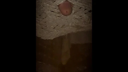 Ma nouvelle vidéo de compilation d’éjaculations torrides.