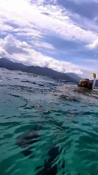 Snorkel Slut in Paradise - Underwater Flash & Naughty Tease