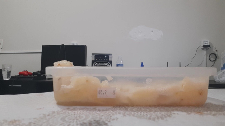 Bladexfeet: Menghancurkan nanas dengan sepatu bot