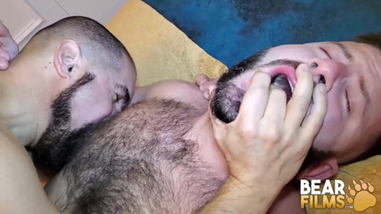 Bear Films: BEARFILMS - baalon vaali beyars aartilero aur liyo grin ki bina...