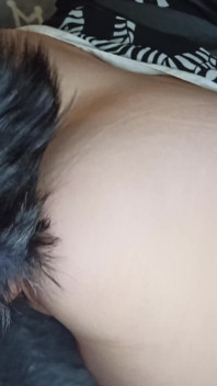 Housewife seduced with her plug tail and let her juicy pussy be fucked