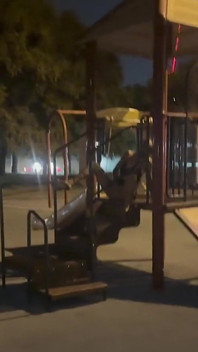 Добрий член