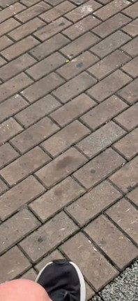 I'm Going to Kick Your Ass with My Size 45 Foot - 12½ Inches