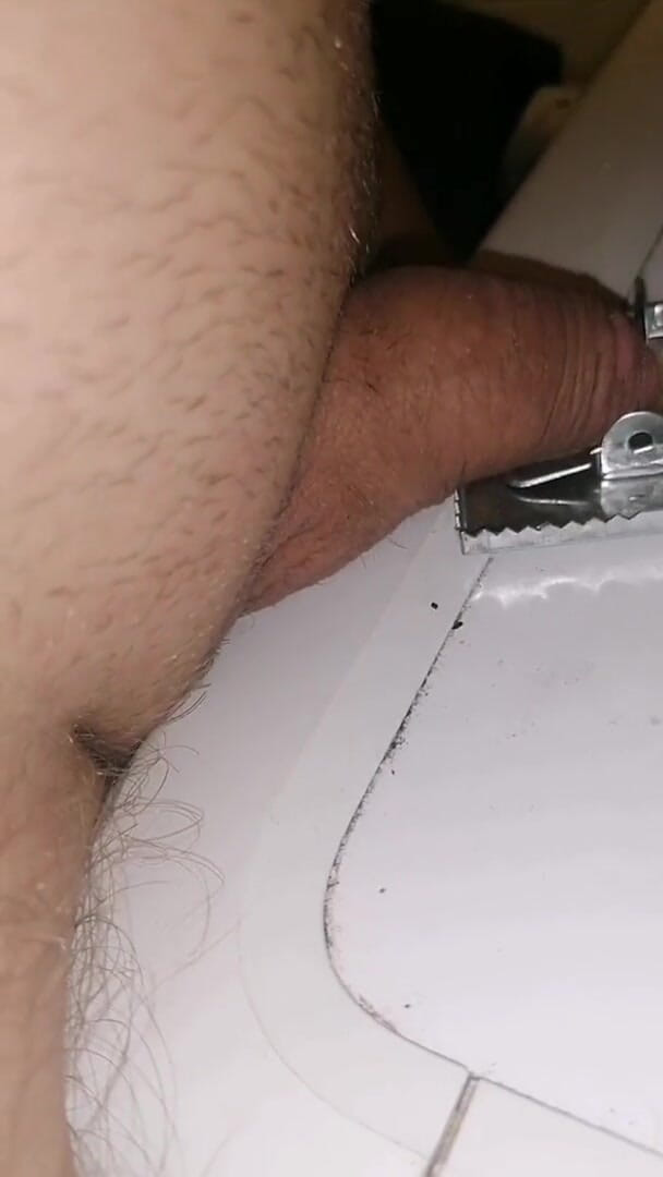 Adashah: Qual mikropenis mausfall BDSM cbt sph