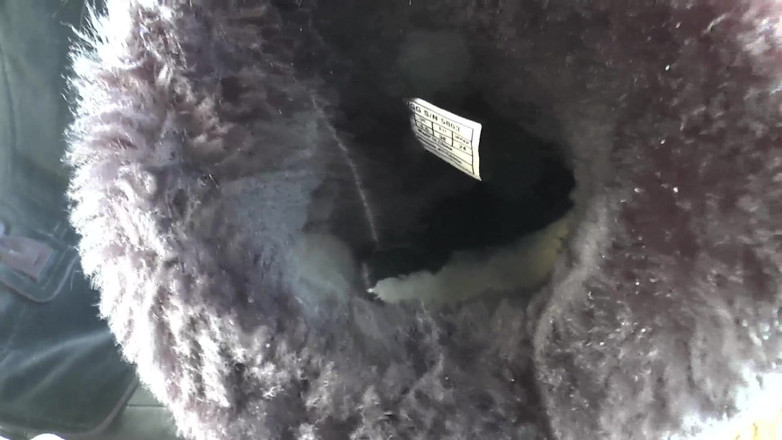 Lady Victoria Valente: Extrémně smradlavé nohy kožešinových bot! V Boots Smell And Foot,...