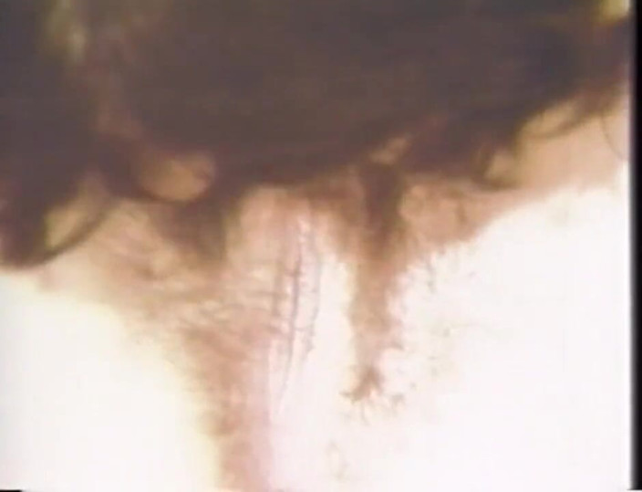Vintage Usa: Slut with big boobs loves to suck cock