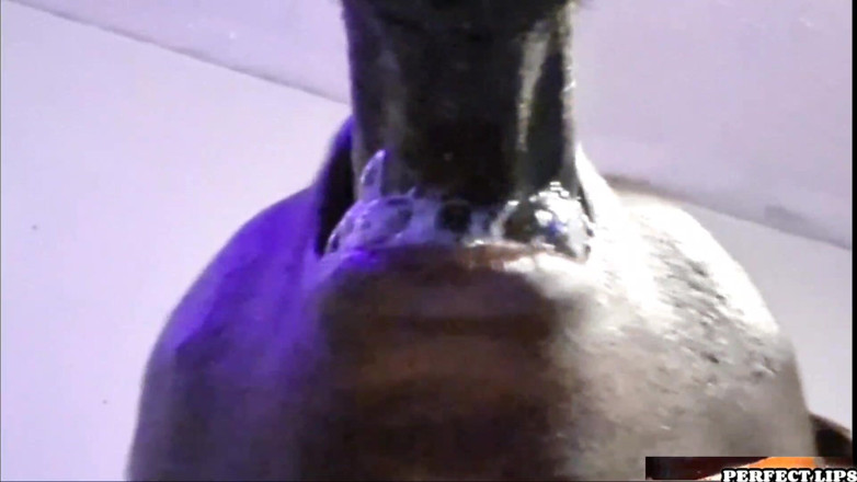 MS Perfect Lips: Perfect Lips-extra Sloppy POV Deepthroating Dick!!!