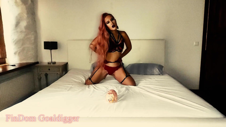 FinDom Goaldigger: Paypig Ignore
