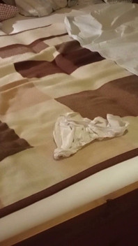 Мастурбация «Slip Hump»