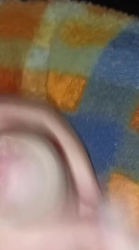 Dick w
