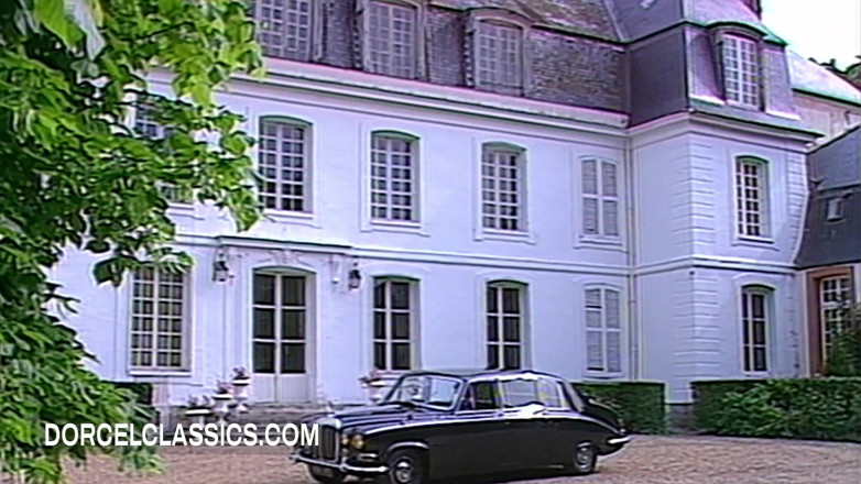 Dorcel classics: A Fortuitous Accident