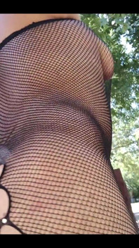 I Love Nets, Lace, Sheer