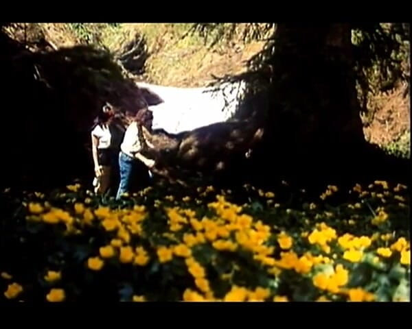 GERMAN PORN CLASSICS: Heissbluetiges Verlangen - Herzog Wideo