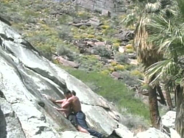 Jocks: Desert Oasis 5