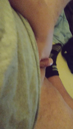 Mysak: Honění malého ptáka