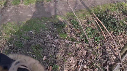 Deepmalaa: Spontaneous outdoor blowjob