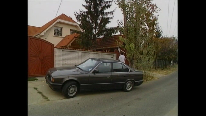 MMV TV - our best full movie: Freche schlampen nehmen es mit jedem schwanz auf, den sie...