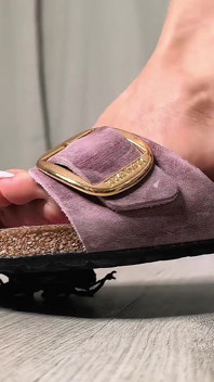 Birkenstocks & Bugs