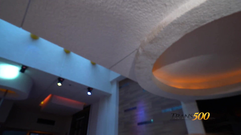 Trans 500: Ms.Laynez