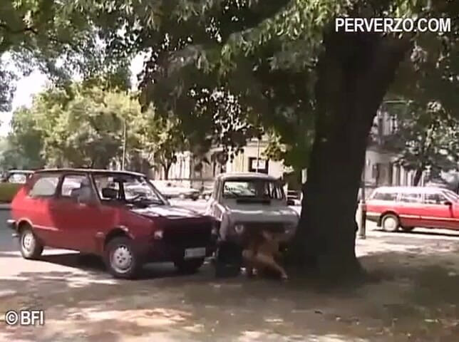 Pissing Girls: Vintage pisse en plein air - DVD