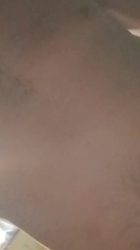 Polla blanca