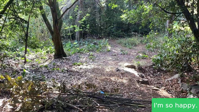Juan Lucho: Loira Argentina Chupa Pênis na Floresta