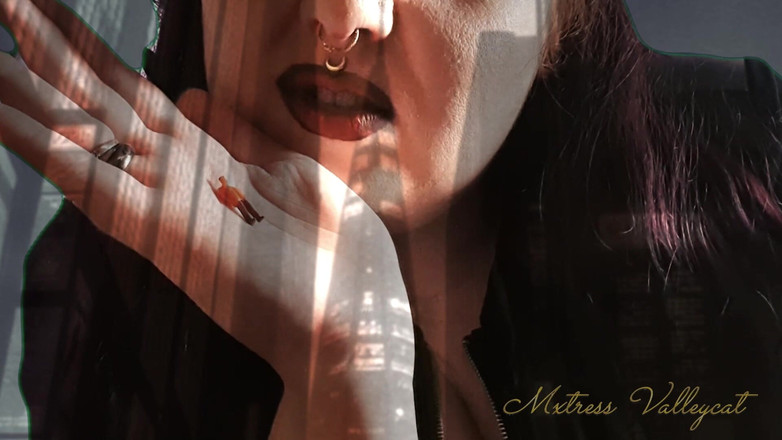 Mxtress Valleycat: ホログラフィックの巨人