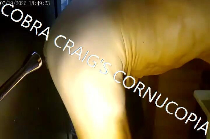 COBRA CRAIG: 7-19-2026 Ngentot gampang pakai kobra
