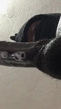 Schlampiger blowjob