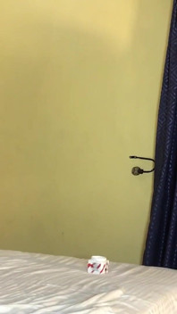 Închiriere de gangster pentru My Bussy